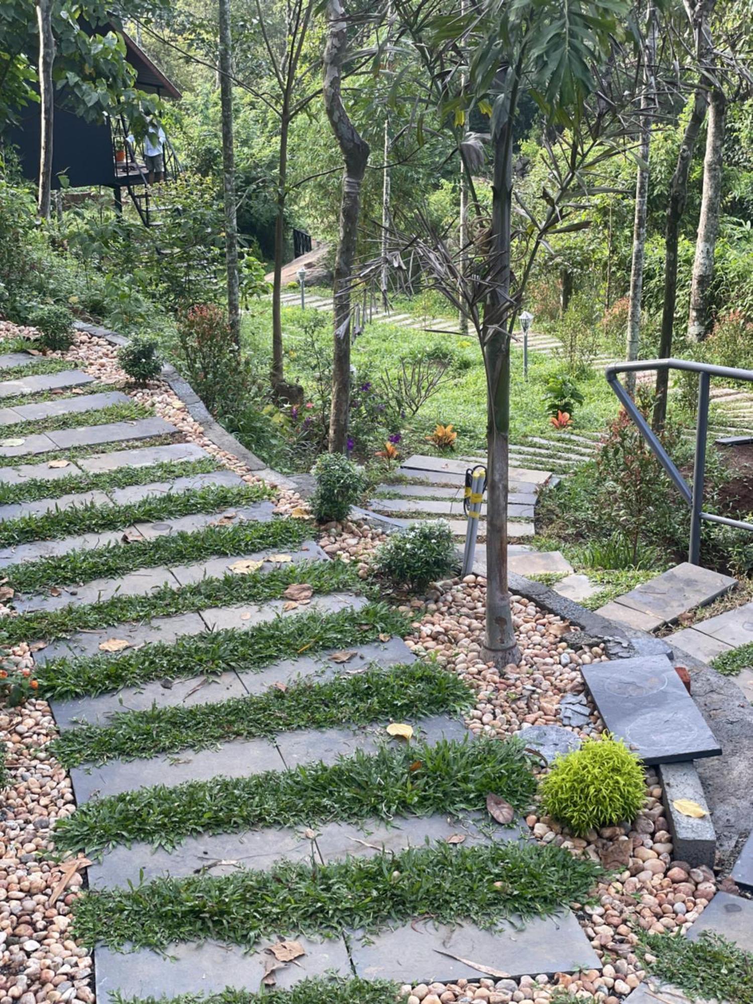 Wetlands Wayanad Pool Resort With Natural Waterfalls Padinjarathara Exterior foto