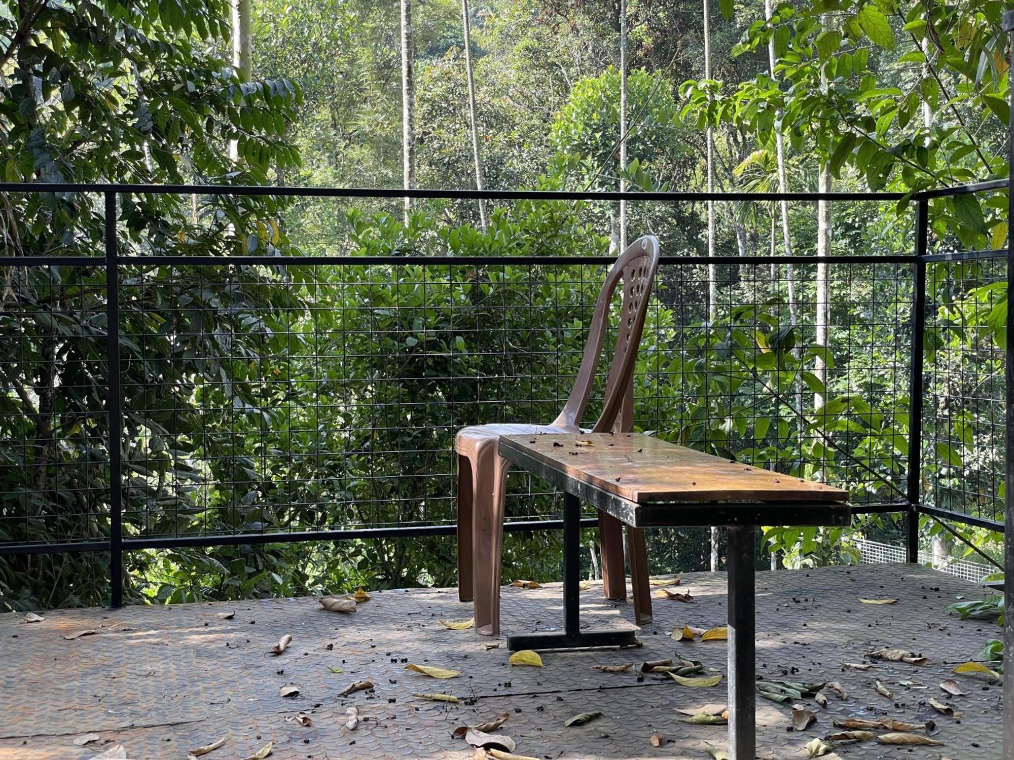 Wetlands Wayanad Pool Resort With Natural Waterfalls Padinjarathara Exterior foto