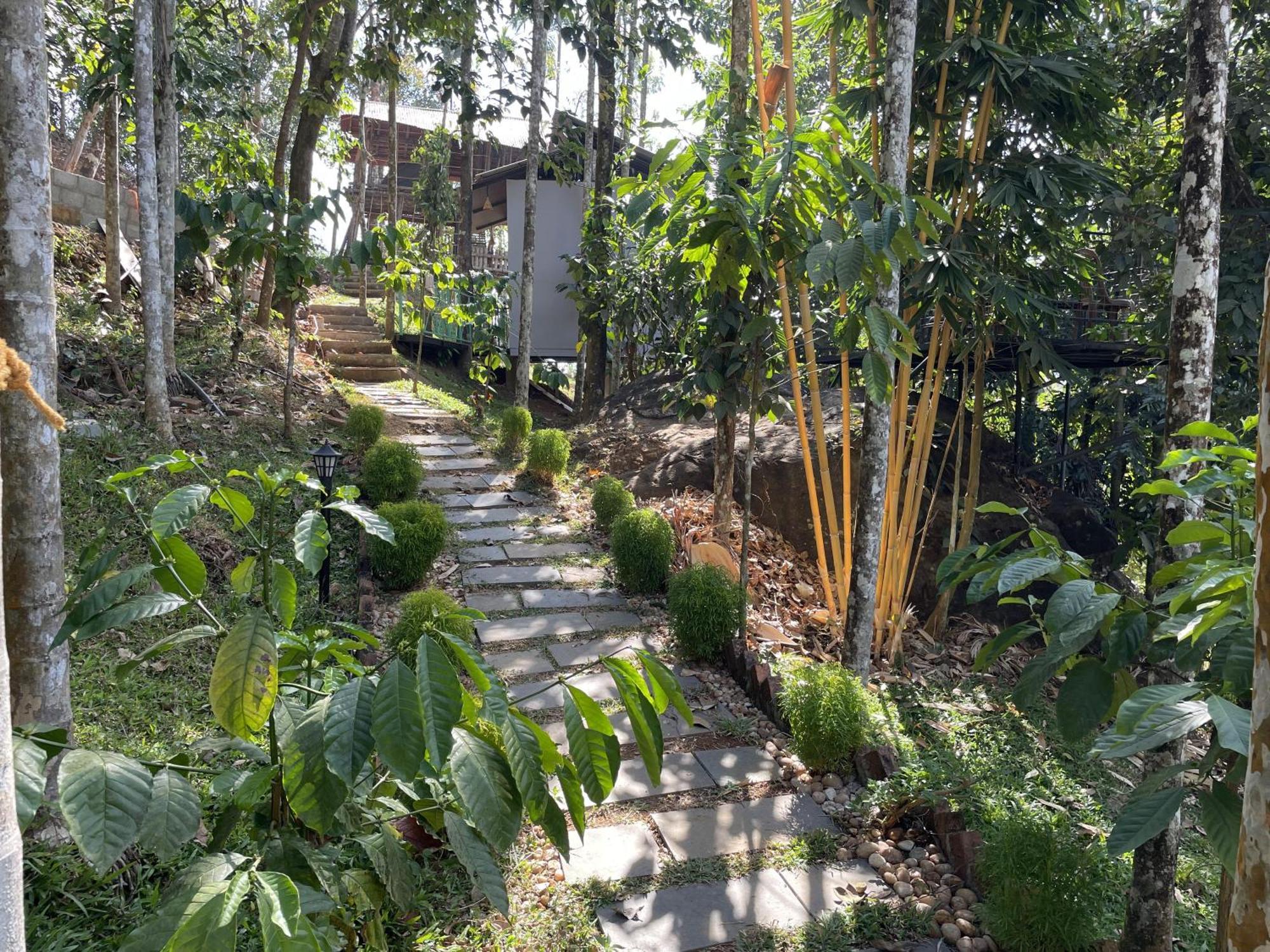 Wetlands Wayanad Pool Resort With Natural Waterfalls Padinjarathara Exterior foto