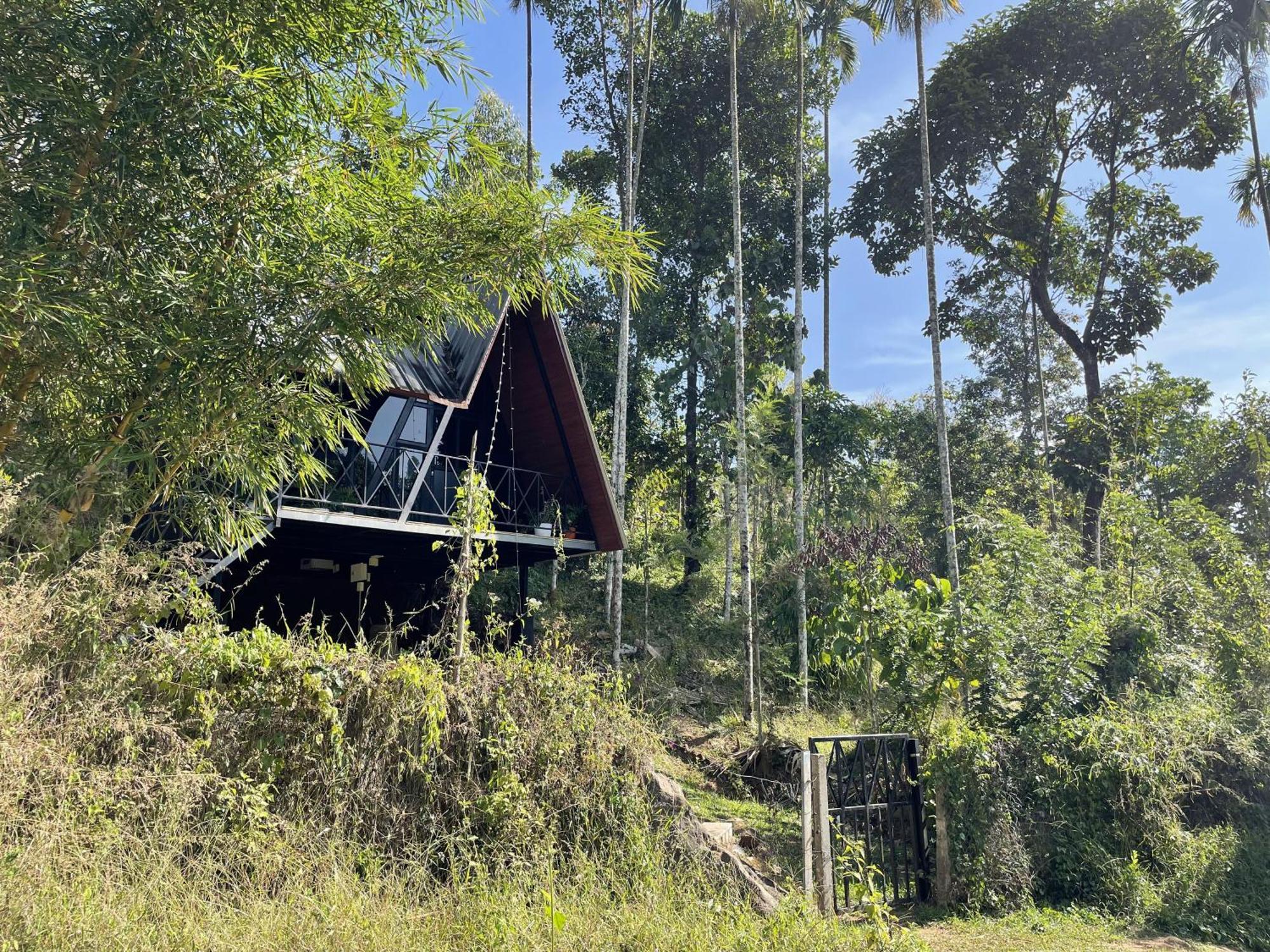 Wetlands Wayanad Pool Resort With Natural Waterfalls Padinjarathara Exterior foto